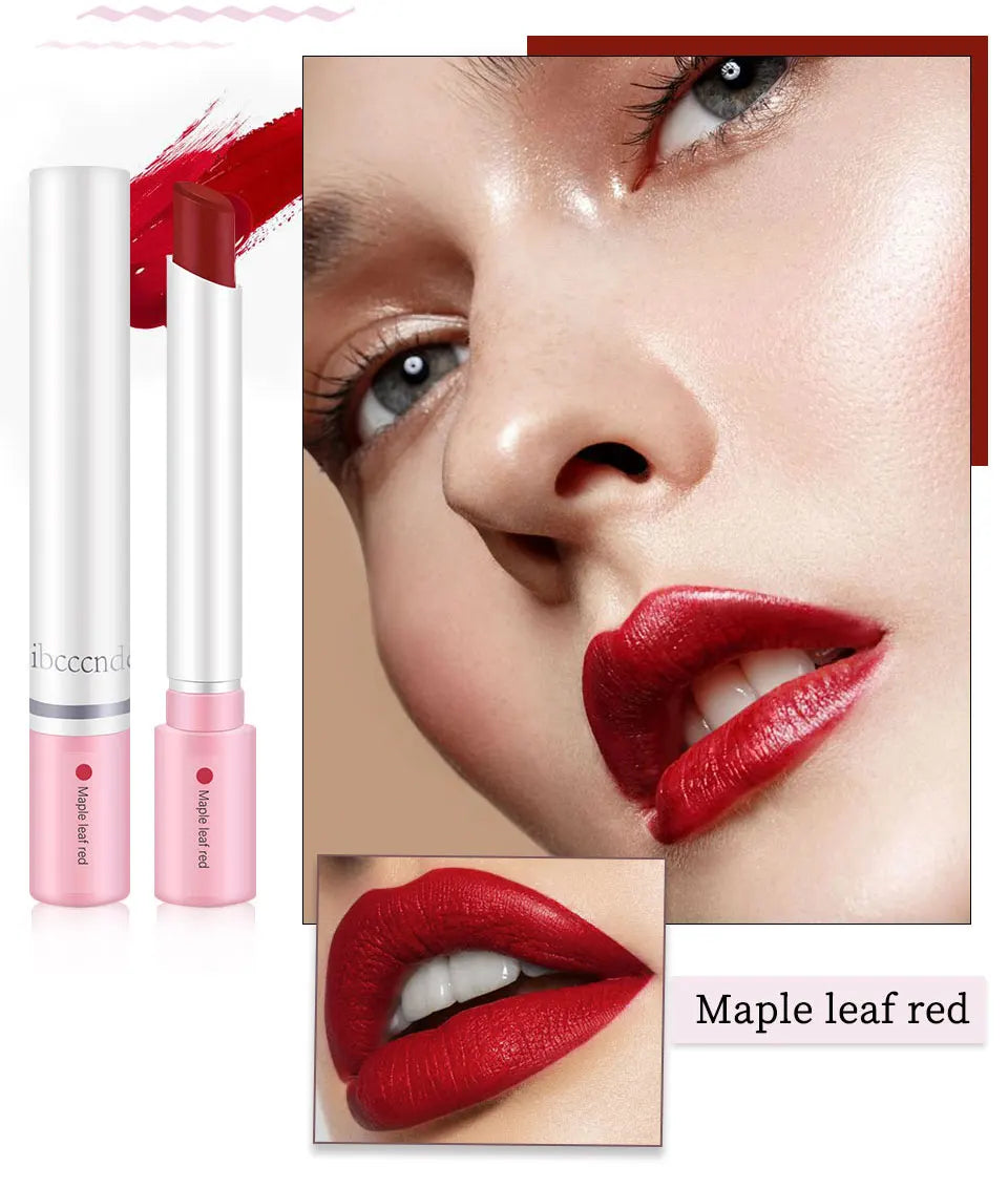 4-Lasting Stick Waterproof Lip Set - Long-Lasting Matte Lipstick with Transparent Finish - Perfect Valentine's Day Gift for Her