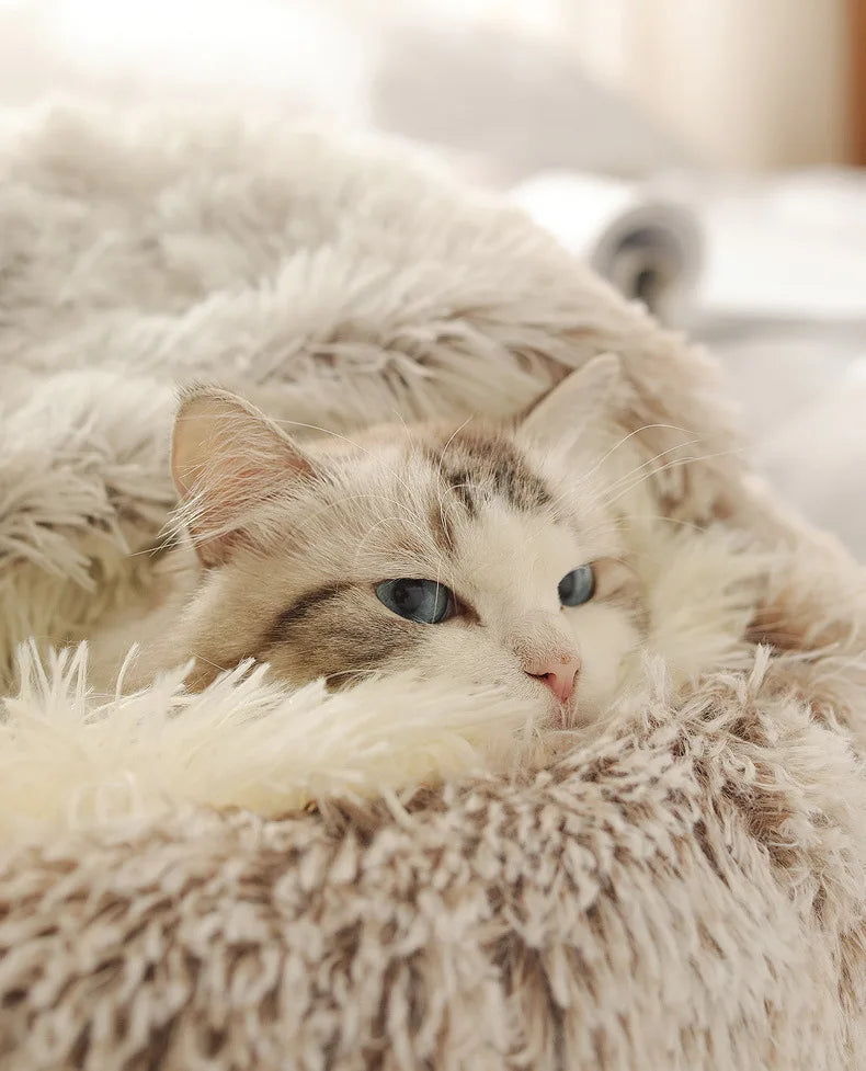 Autumn and Winter soft plush pet bed and pet bed Winter warm and cold plush comforter nest Shell cat nest semi-enclosed cat nest