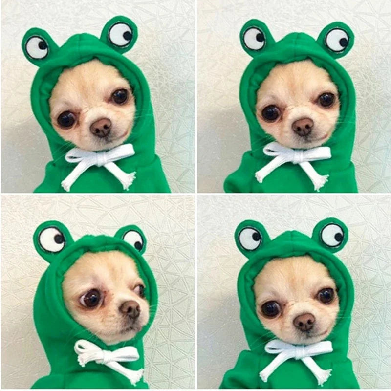 Autumn Winter Dog Hoodies for Small Dogs Cat Cute Frog Print French Bulldog Puppy Soft Warm Fleece Costume Chihuahua Sweatshirts